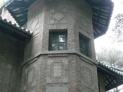 -中山大学学者灵芝(园南路店)