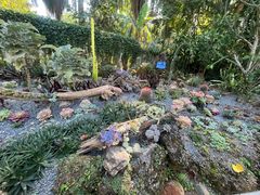 -中国科学院西双版纳热带植物园