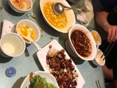 -陈麻婆豆腐总店
