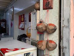 -洪馨椰子