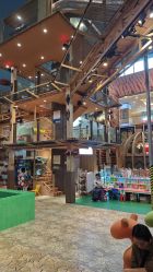 -卡通尼·Safari非洲探索乐园·生日会(金桥国际商业广场店)