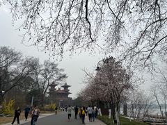 -巴厘龙虾·榜首油焖大虾(青山店)