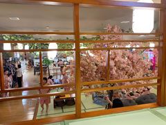-汤泉良子(金源店)