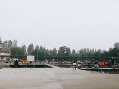 -特种渔场