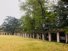 -青岛德国总督楼旧址博物馆