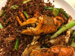 -喜记避风塘炒辣蟹(旗舰店)