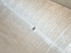 -天津梅江会展中心