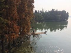 -东湖落雁景区
