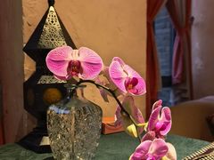 -翡翠鸟精品泰国菜(北辰财富中心店)