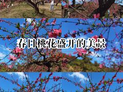 -象头山国家级自然保护区