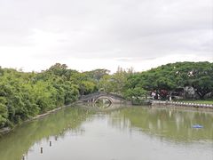 -江心屿景区