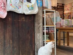 -猫的天空之城概念书店(苏州平江店)