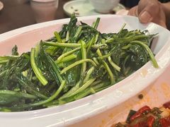 清炒板蓝根苗-缘生态云南菜·野生菌庭院餐厅(华侨城店)