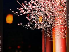 -慧因高丽寺