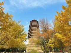 -玲珑塔公园