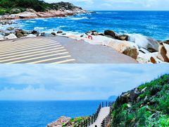 -广东惠东海龟国家级自然保护区