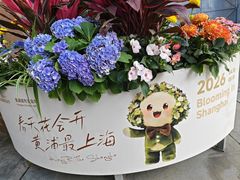-上海市长春食品商店(淮海中路店)