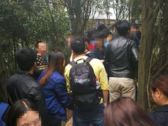 -梦幻奥陶纪景区