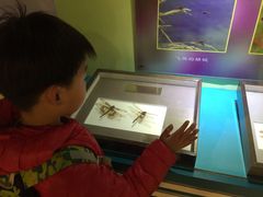 -上海昆虫博物馆