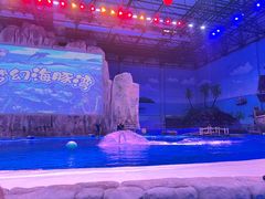 -华夏文旅海洋公园