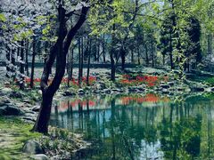 -徐家汇公园