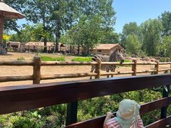 -大连森林动物园