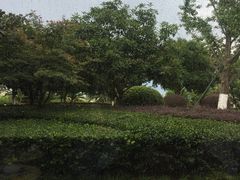 -哈根达斯(宁波和义店)