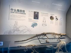 -自贡恐龙博物馆