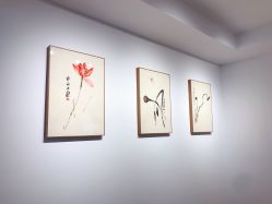 -溢美古法抗衰