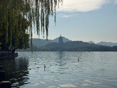 -杭州西湖柳莺里酒店·闻莺厅