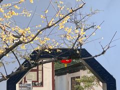 -上海醉白池公园