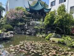 -華僑飯店中餐厅