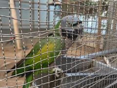 -南宫五洲植物乐园