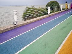 -贡湖湾湿地公园