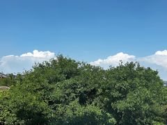 -真爱中国餐馆·年华店(朱雀大街店)