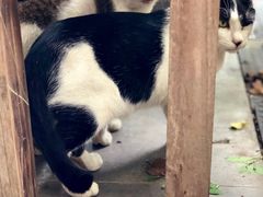 -旧雨咖啡·CoffeeFORU(黄村奥体店)