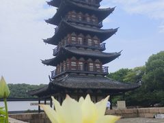 -上海方塔园