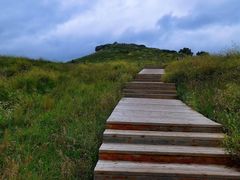-御道口草原森林风景区