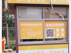 -大宁郁金香公园-停车场