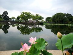 -无锡蠡湖国家湿地公园-蠡园