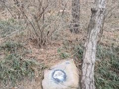 -北岭山森林公园