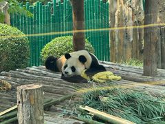 -大连森林动物园