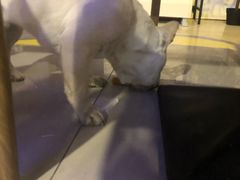 -平行世界·猫咖(首经贸店)