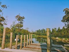 -春花秋色城市公园