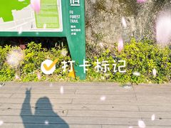 -福道