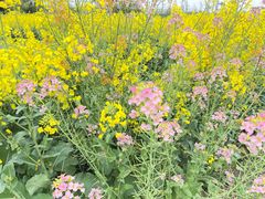 -中国天府农业博览园