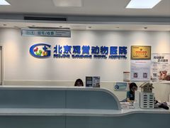 -北京观赏动物医院·24小时大型综合·猫专科·异宠专科