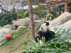 -香港海洋公园