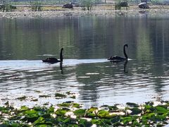 -长春市南湖公园