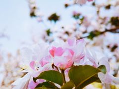 -海棠花溪(元大都城垣遗址公园)